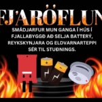 SmáDjarfur eflir öryggi heimila í fjáröflun í dag