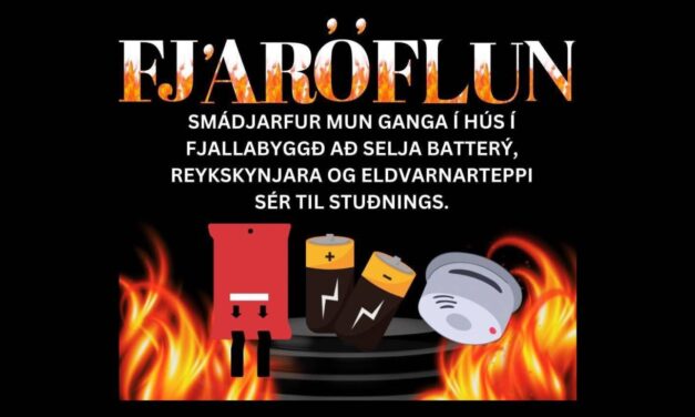 SmáDjarfur eflir öryggi heimila í fjáröflun í dag
