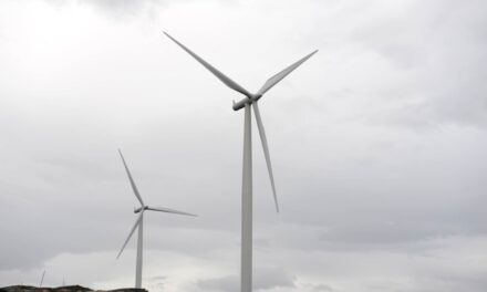 Skýrari rammi um vindorku og vernd