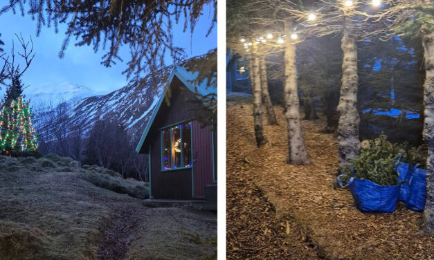 Jólastemning í Skógræktinni á Siglufirði í dag