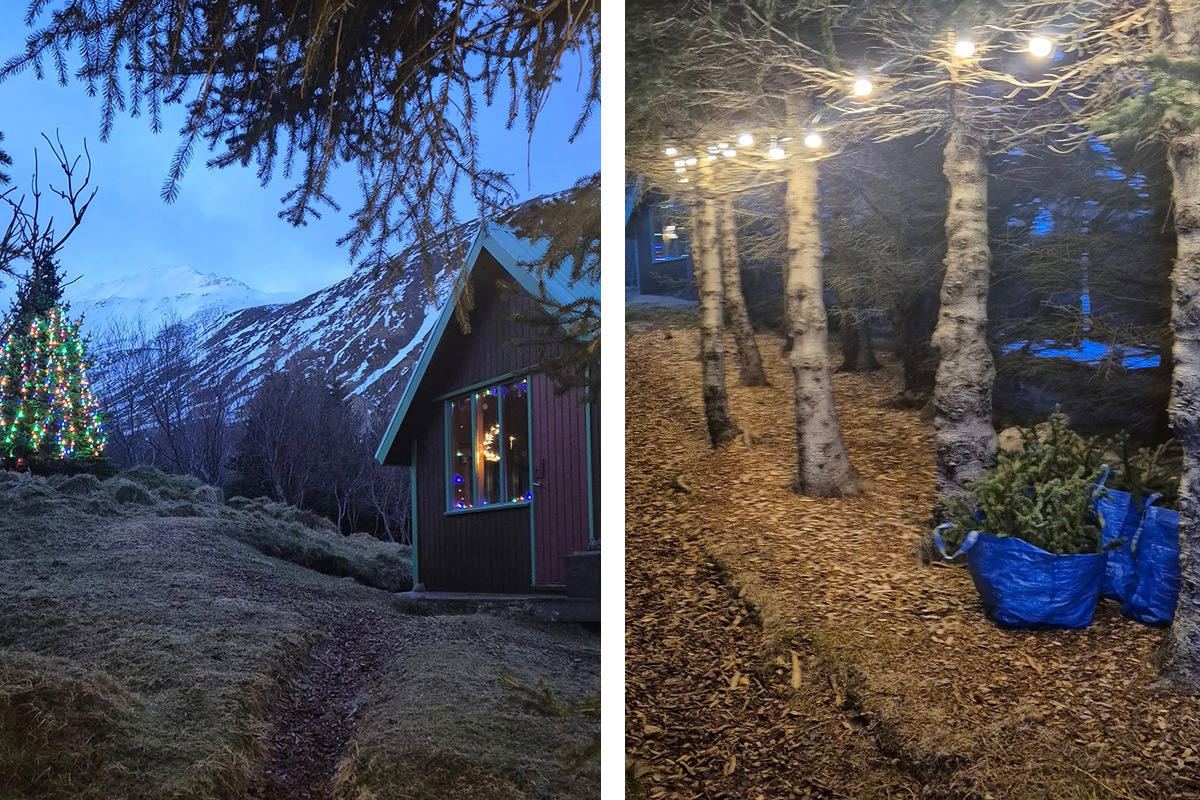 Jólastemning í Skógræktinni á Siglufirði í dag