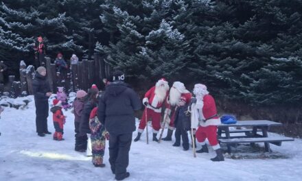 Jólastund í Skógræktinni heppnaðist vel á Siglufirði – Myndir