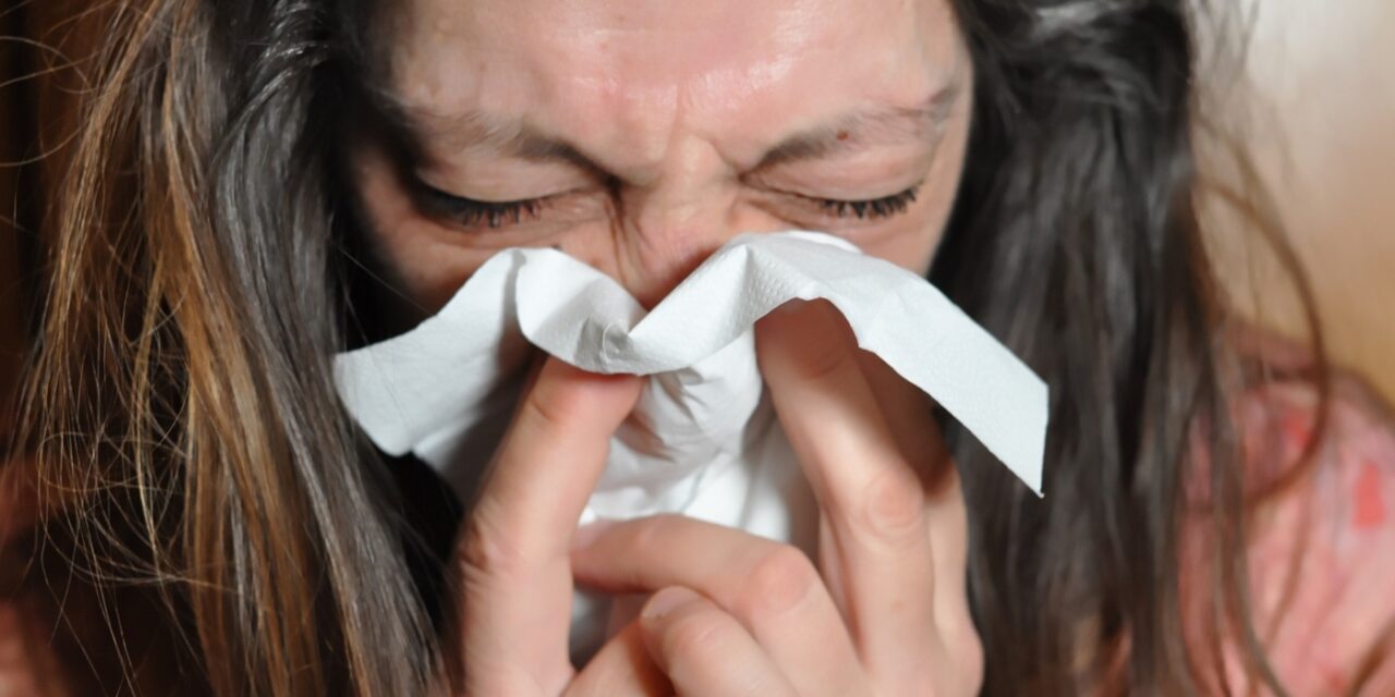 Inflúensan gengur yfir landið