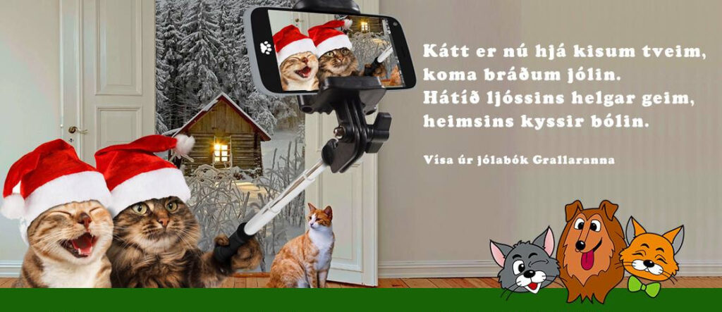 Barnabókahöfundur á Siglufirði hlýtur styrk úr Uppbyggingasjóði Norðurlands eystra - Grallarar