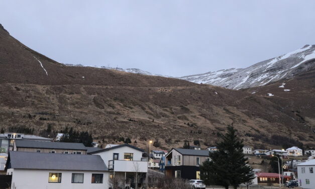 Marauð jörð um áramótin á Siglufirði