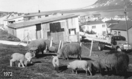 Rollur handteknar með lögregluvaldi!