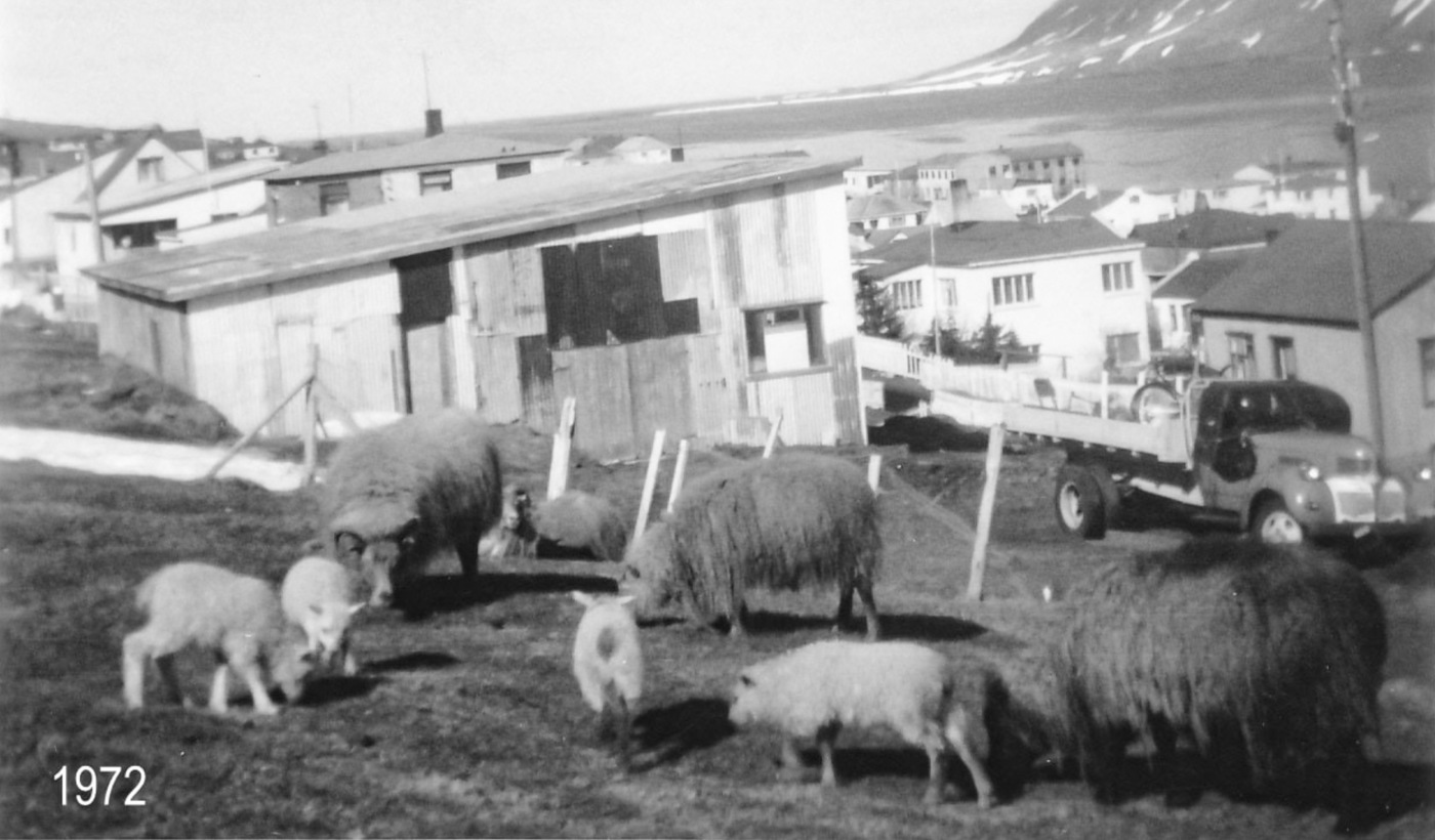 Siglufjörður. Bretatún 1972