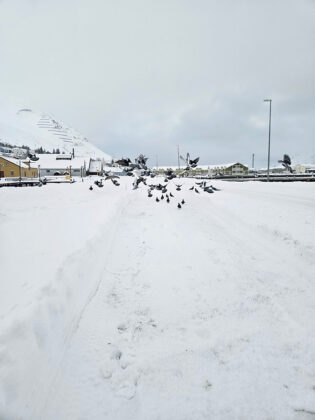 Samvera sem skiptir máli, göngur og inniganga á vegum Hátindar 60+ - Myndir
