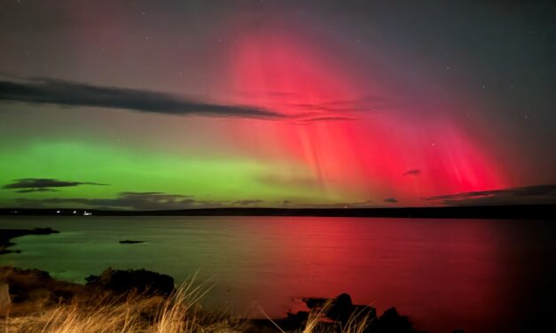 Annasamar vikur hjá sveitastjóra Húnaþings vestra