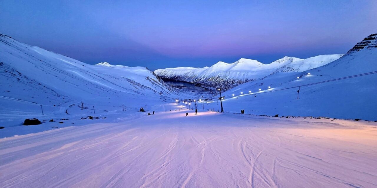 Dásemdardagur í Skarðsdal – Opið í dag
