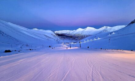 Dásemdardagur í Skarðsdal – Opið í dag