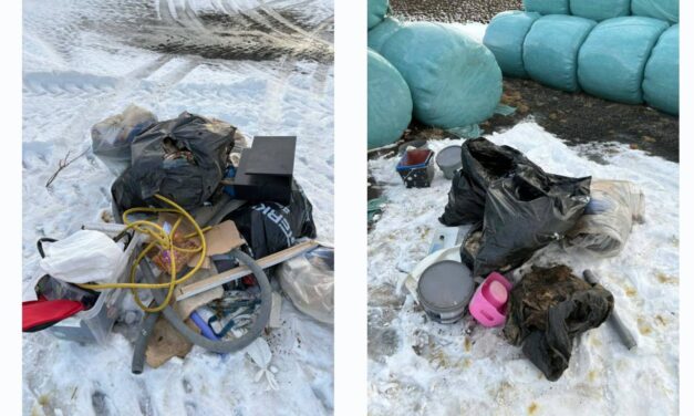 Sóði á ferðinni í Húnabyggð