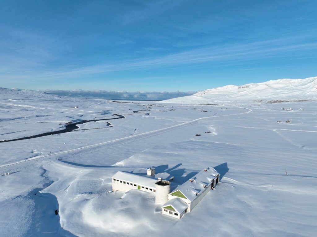 Rosabaugur skartar sínu fegursta