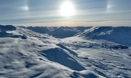 Myndir: Rosabaugur skartar sínu fegursta