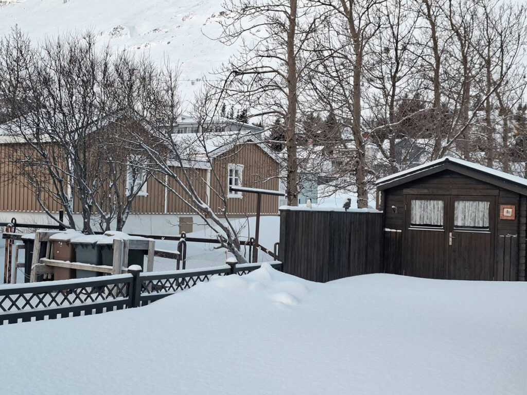 Myndir: Vetrarstemning í allri sinni fegurð á Sigló