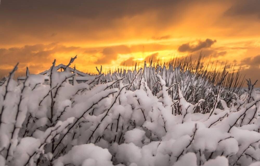 Breytingar á styrkjum úr sjúkrasjóði Einingar- Iðju
